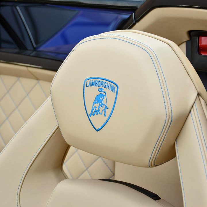 2015 Lamborghini Aventador Roadster