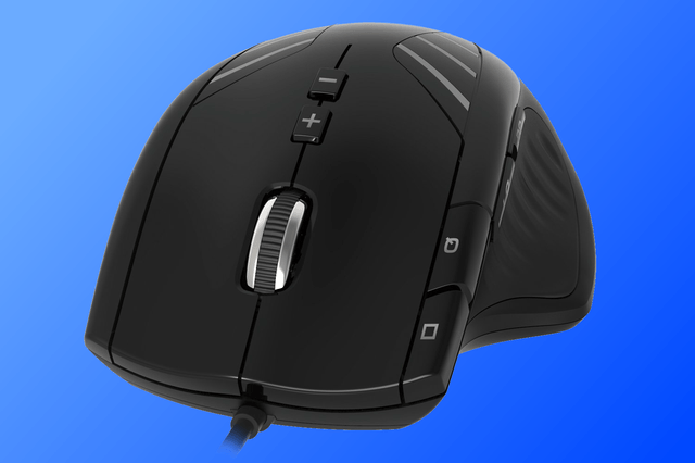 tac4 mouse