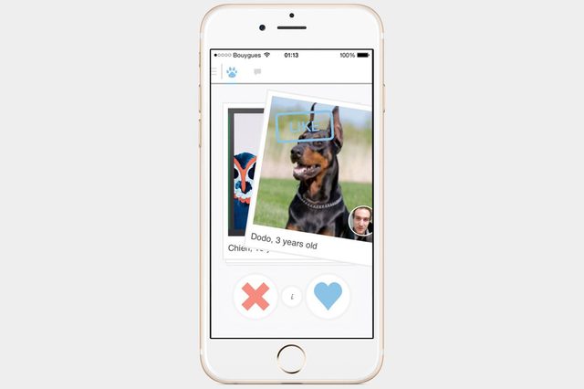 tindog-app-for-ios