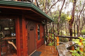 Airbnb Treehouse