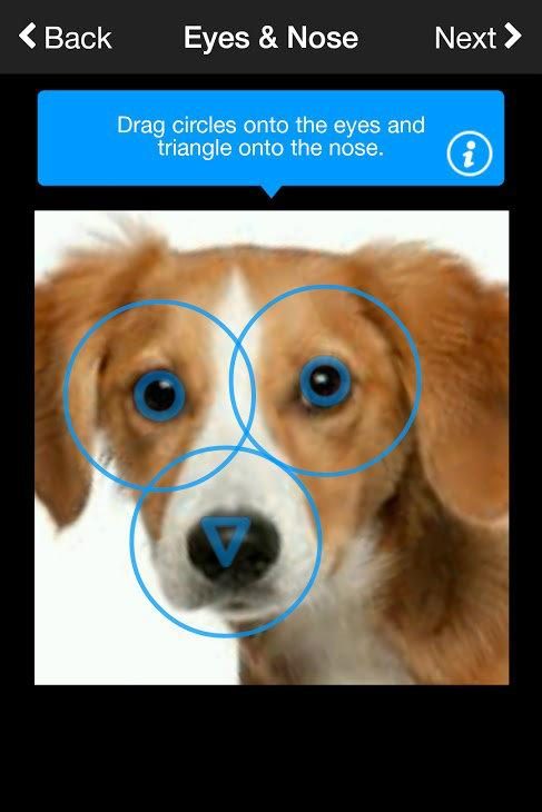 Finding Rover, facial recognition