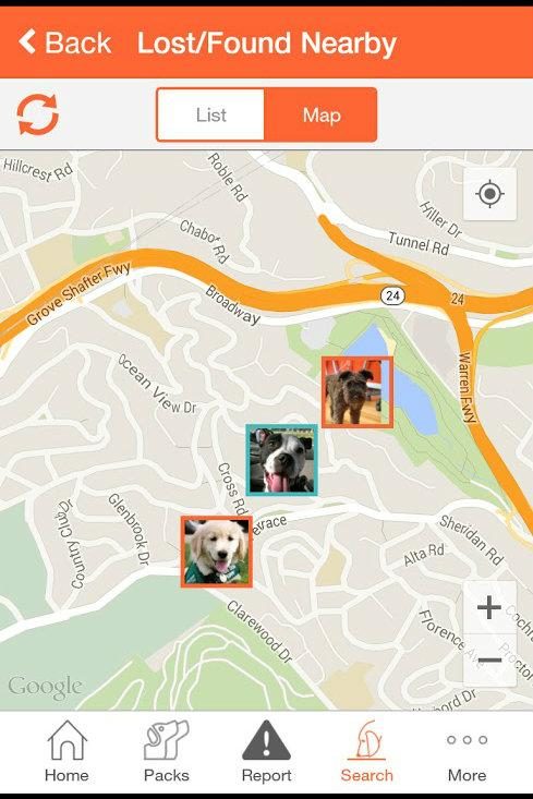 Finding Rover, facial recognition