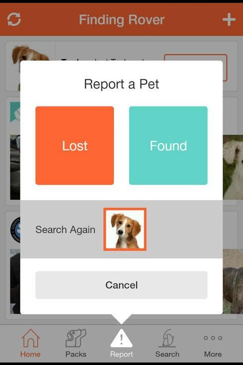 Finding Rover, facial recognition