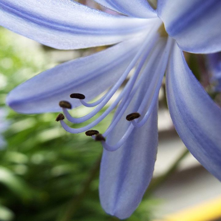Fujifilm FinePix s9900W sample
