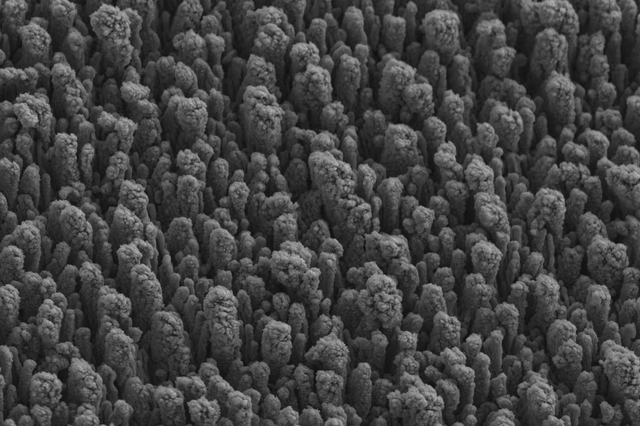 Black silicon could be the future of clean energy, and would also make a great Joy Division album cover