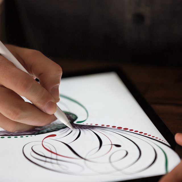 Apple Pencil - Can iPad Pro