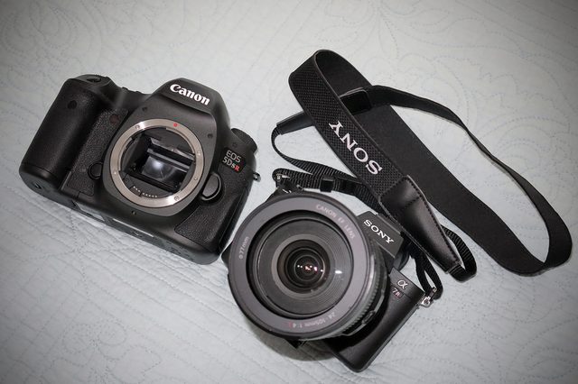 Canon 5DS R vs Sony A7R II