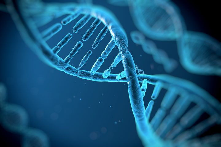 Dog Poop DNA