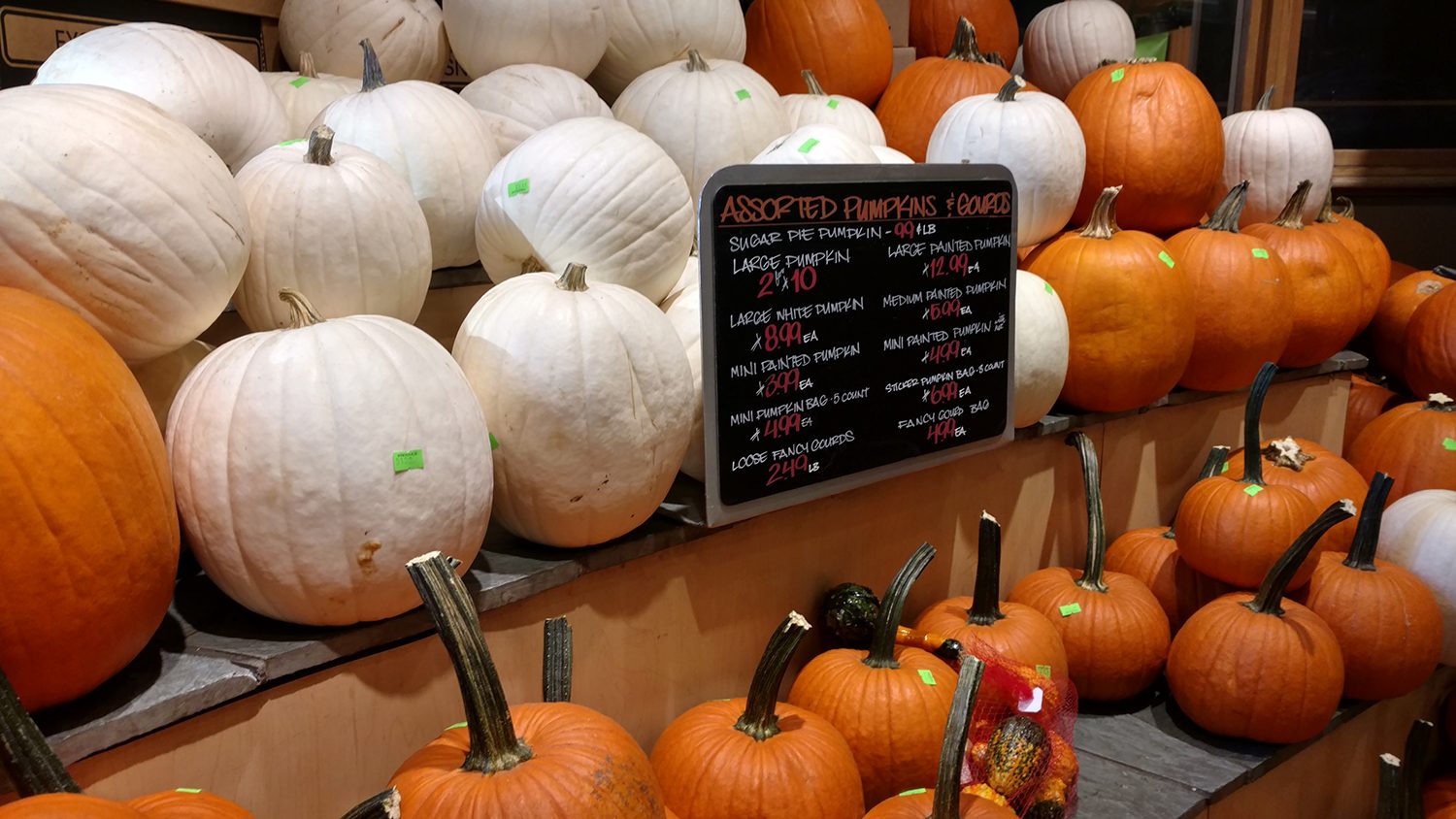 Moto X Style Pure Edition Camera Sample