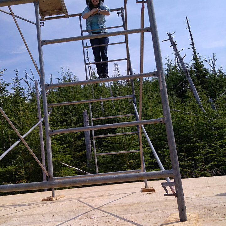 tynan island yurt trip