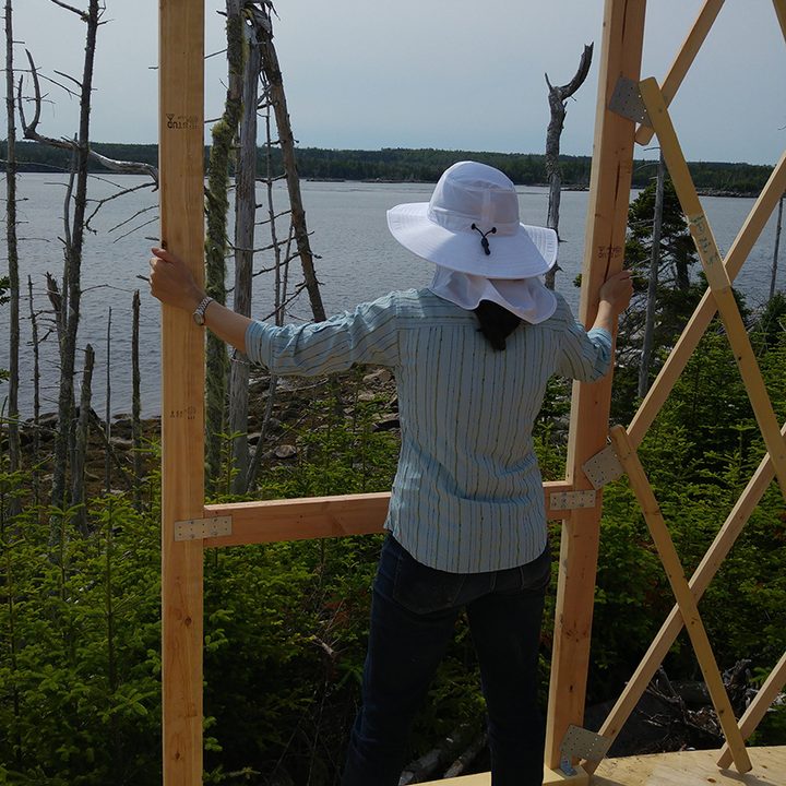 tynan island yurt trip
