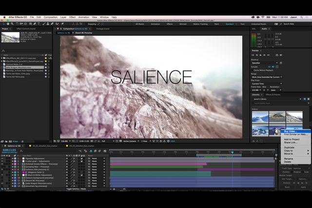 Search and purchase stock video content from within select Adobe CC desktop apps.
