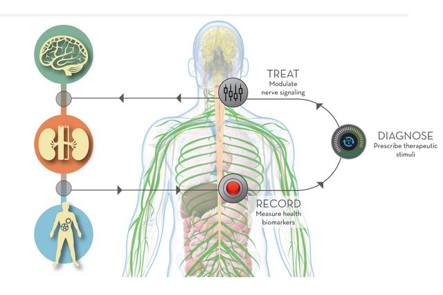 DARPA’s ElectRx program seeks to cure ailments with electricity, not drugs