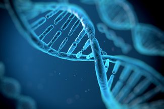 DNA double helix