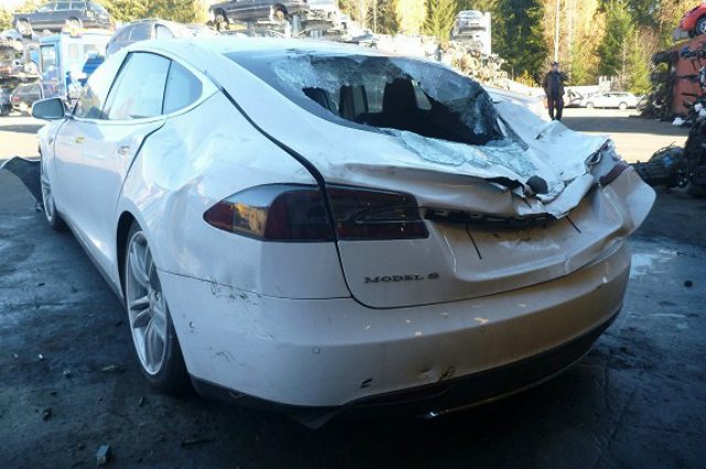 Tesla Model S crushed by a tree - rearview