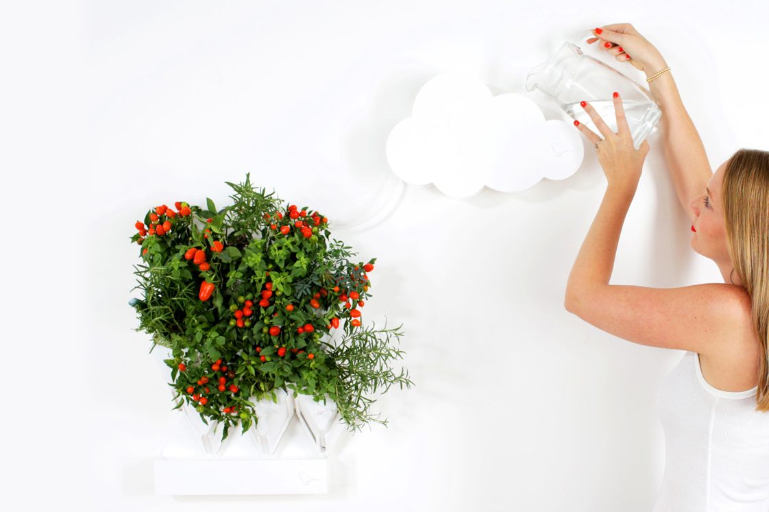 plug and plant is an easy to grow vertical garden green 005