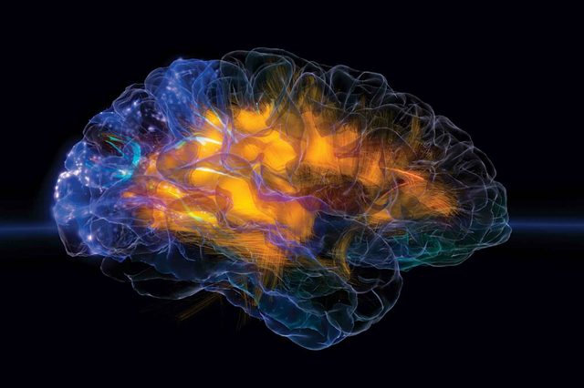 Vizzies-Glass-Brain