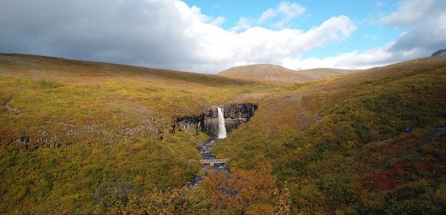 Image captured with the OnePlus X.