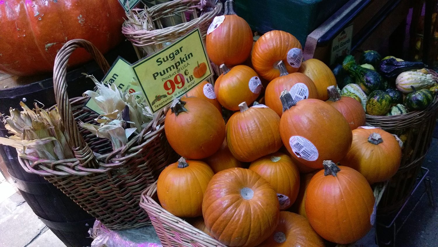 HTC One A9 Sample