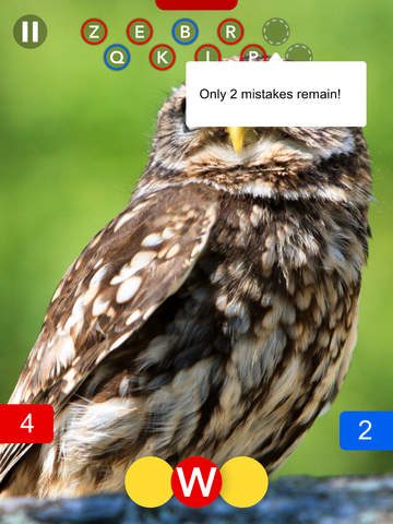 osmo review screen480x480 1