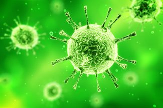 virus
