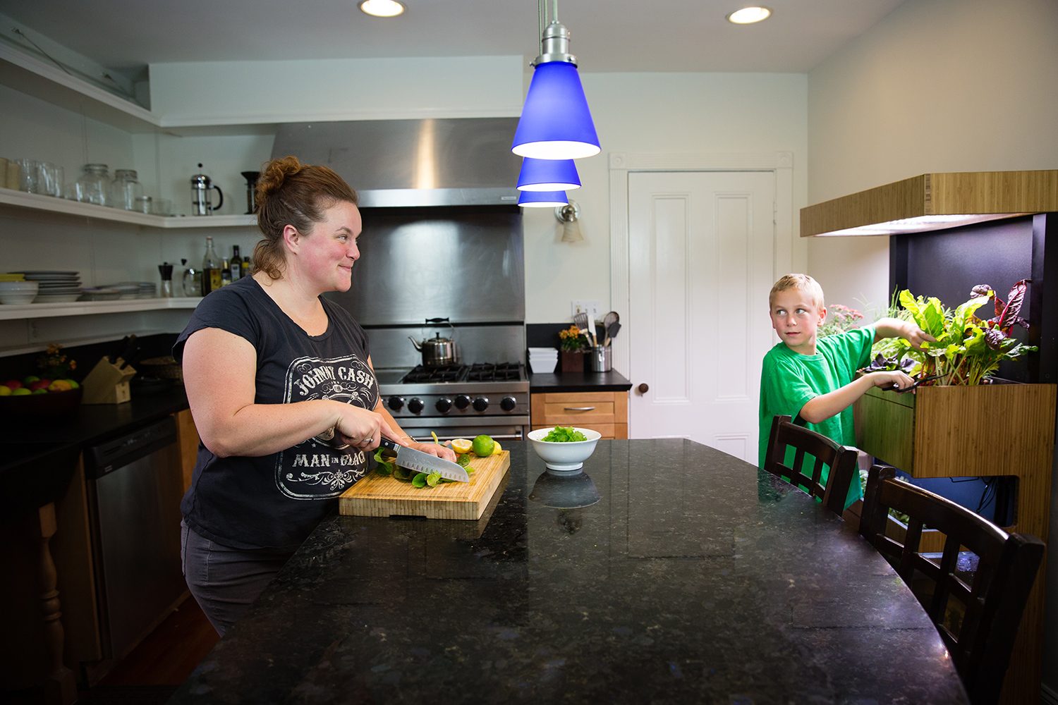 the grove ecosystem launches a kickstarter for its indoor garden a27a4979