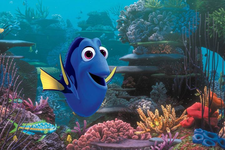 Dory in Finding Nemo.