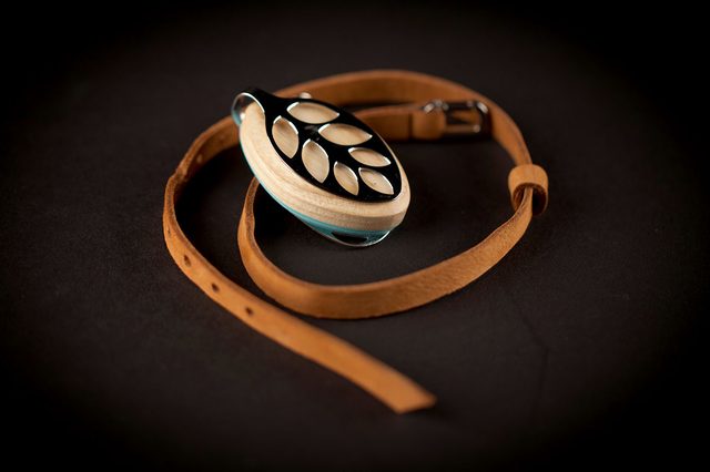 Bellabeat Leaf