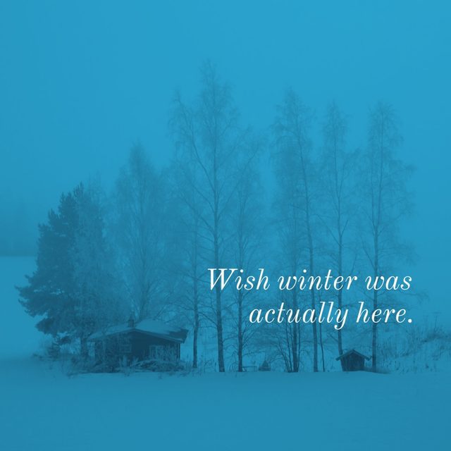 Adobe Post has several pre-made templates to get you started. Here, we simply changed the text to fit our mood.