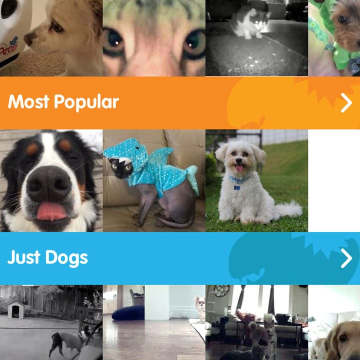 petzi treat cam review treatcam screen 3