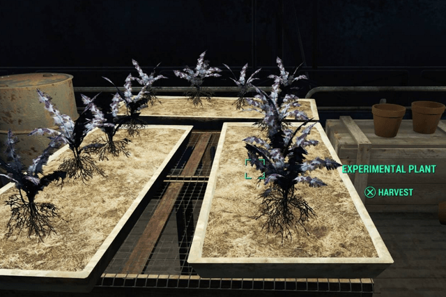fo4 experimental plant screen