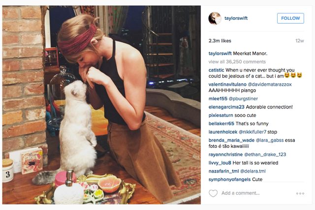 taylor-swift-instagram-2