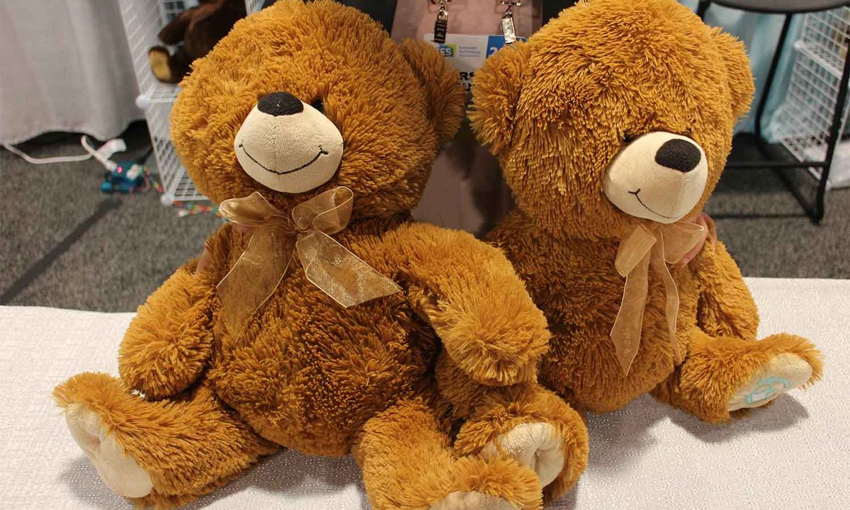 hugs on with the parihug bear connected 9966
