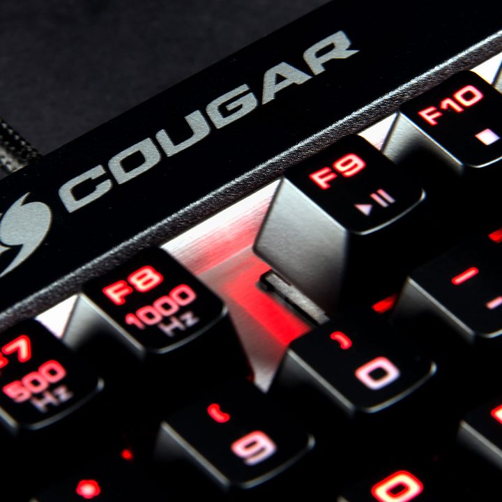 Cougar Attack X3