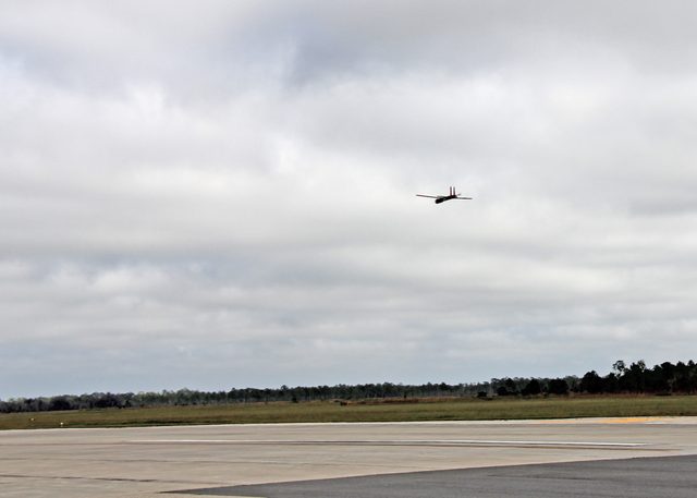 Coyote_approach