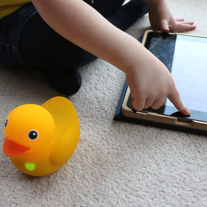Edwin the Duck