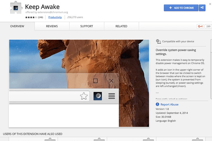 Keep awake extension