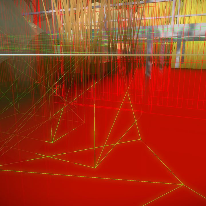 The Witness