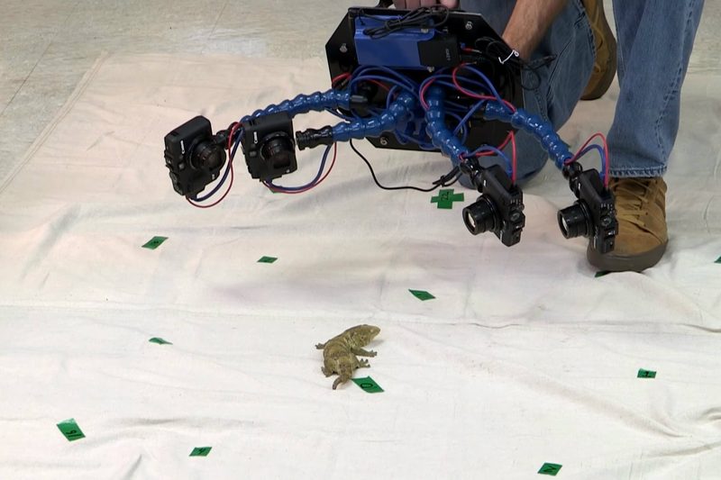 3d modeling, UMass, beastcam