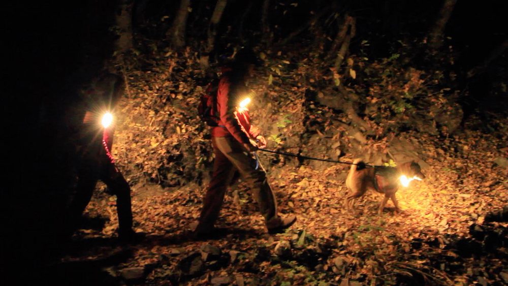 Ra strap light night time hiking