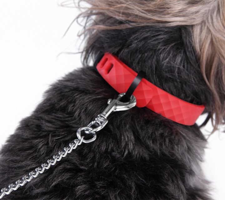 KYON smart dog collar on leash.