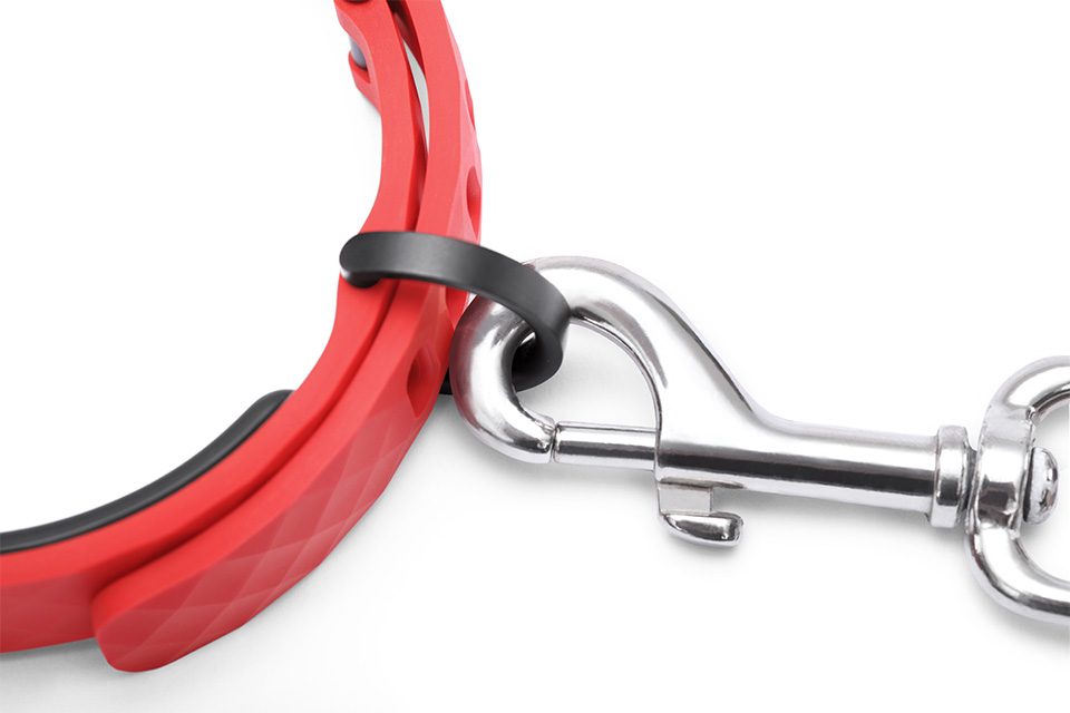 KYON dog collar close up leash clip