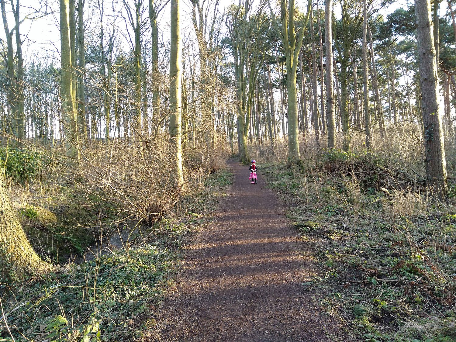 Nextbit Robin Camera Sample