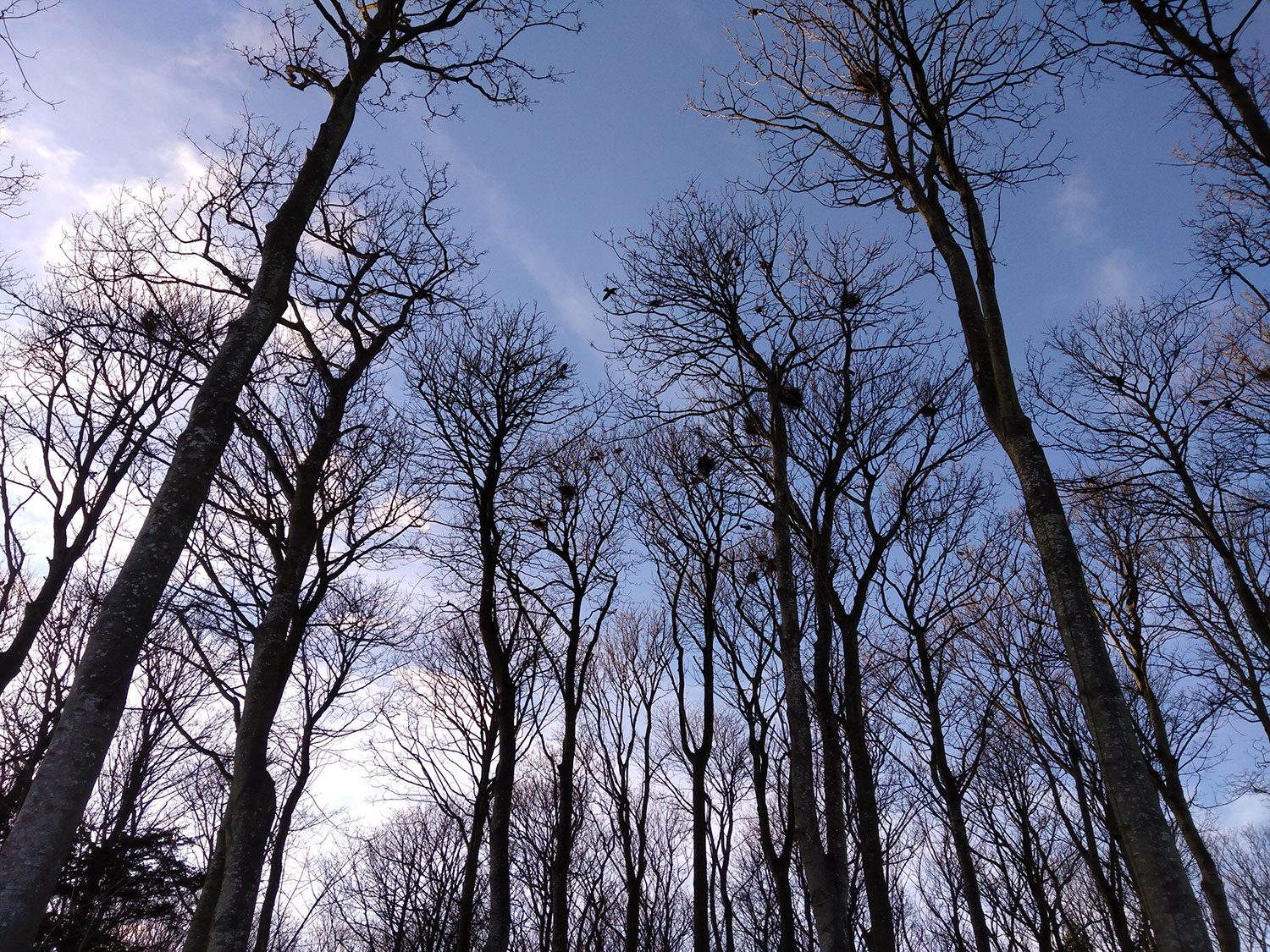 Nextbit Robin Camera Sample