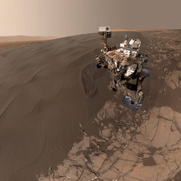 curiosity selfie 2016 - whole