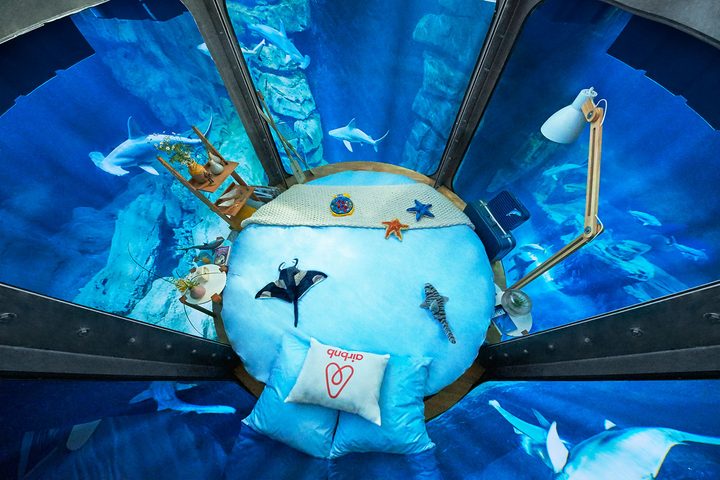 Aquarium-de-Paris-Shark-Airbnb_007