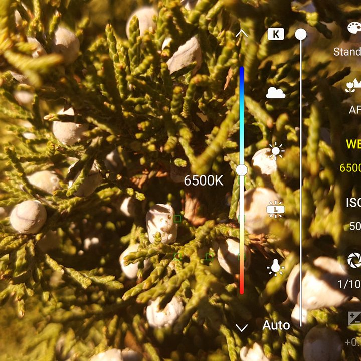 Galaxy S7 white balance interface