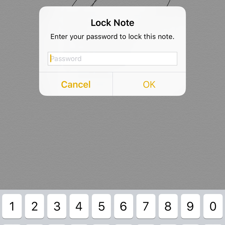 how to add passwords notes ios 9 3 img 3302