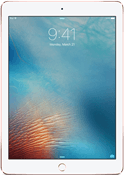 Small iPad Pro