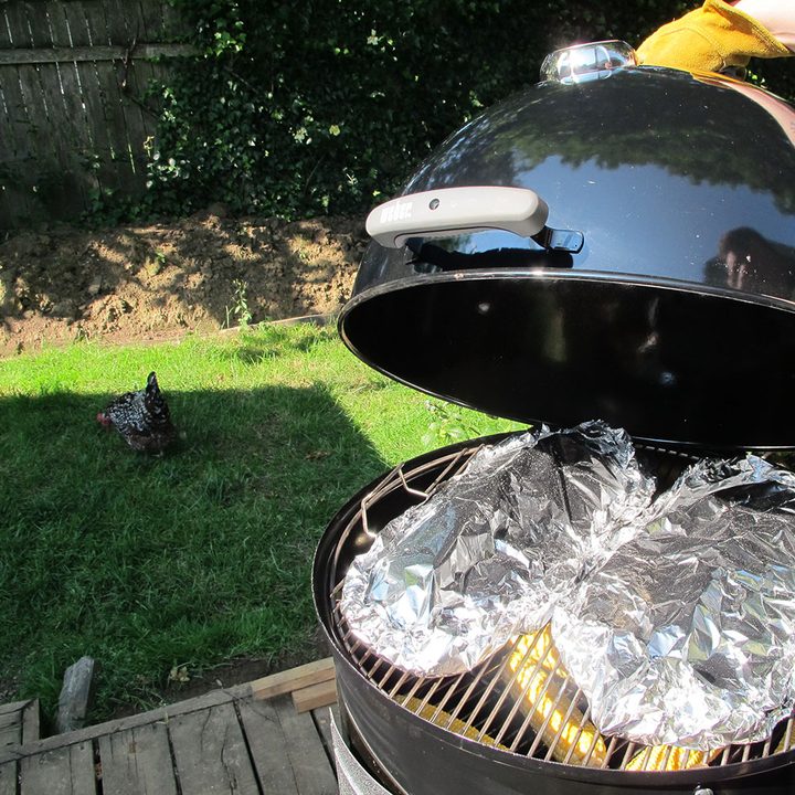 Weber Smokey Mountain Barbeque Smoker
